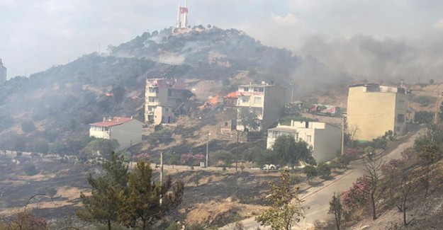 İzmir'de Zeytinlik Alanda Yangın Çıktı