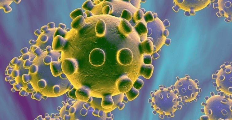 Japonya'da Coronavirüs 2 Can Daha Aldı