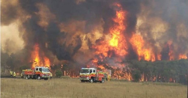 Japonya'dan Avustralya'ya Yangın Desteği