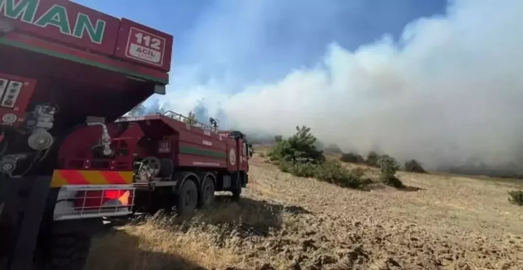 Kahramanmaraş'ta Orman Yangını: Ekipler Müdahaleye Başladı