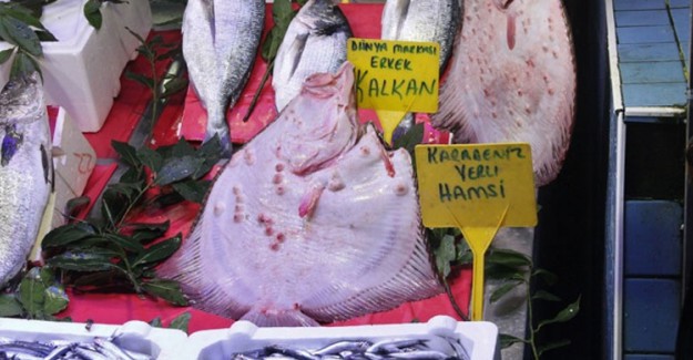 Kalkan Balığının Fiyatı Dudak Uçuklatıyor