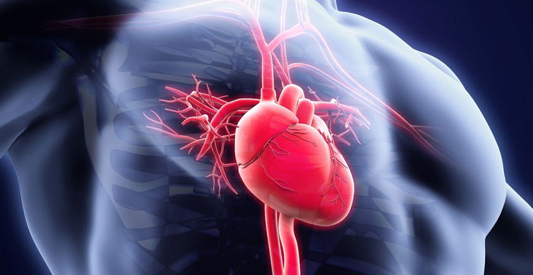 Kalp ve Damar Hastalığı Olan Kişiler Dikkat