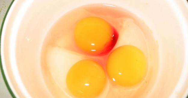 Kan Lekesi Olan Yumurta Yenir mi?