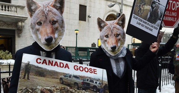Kanada'da Hayvan Hakları İhlaline Karşı Protesto Düzenlendi