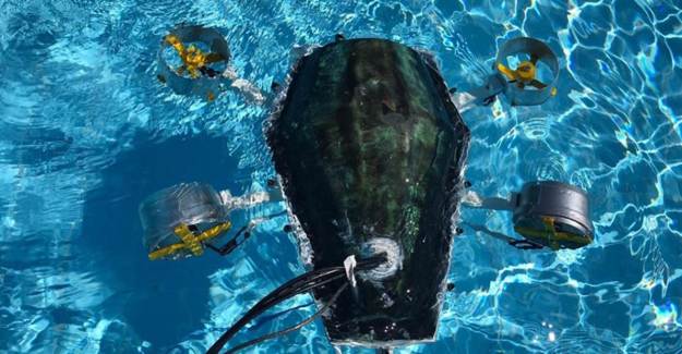 Kaplumbağadan İlham Alarak Su Altı Drone’u Geliştirdiler