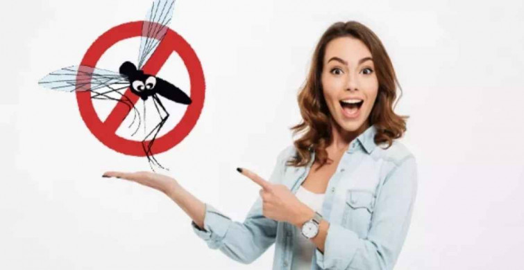 Kara sineklerden kurtulmak için ne yapılır? Kara sinekler hangi kokuları sevmez? Evde doğal yöntemle karasineklere hazırlanan koku tuzakları