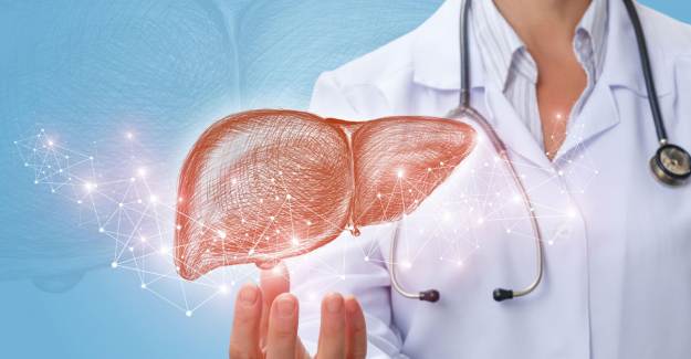 Karaciğer Hastalıklarının Tanısı 'Fibroscan' İle Daha Kolay