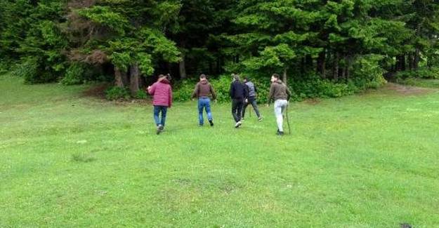 Karadeniz'de Ayı Nüfusu Arttı, Vatandaş Tedirgin Oldu