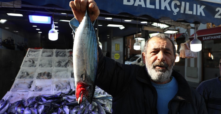 Karadeniz’de Palamut Bolluğu: Balıkçılar ve Vatandaşlar Güldürüyor