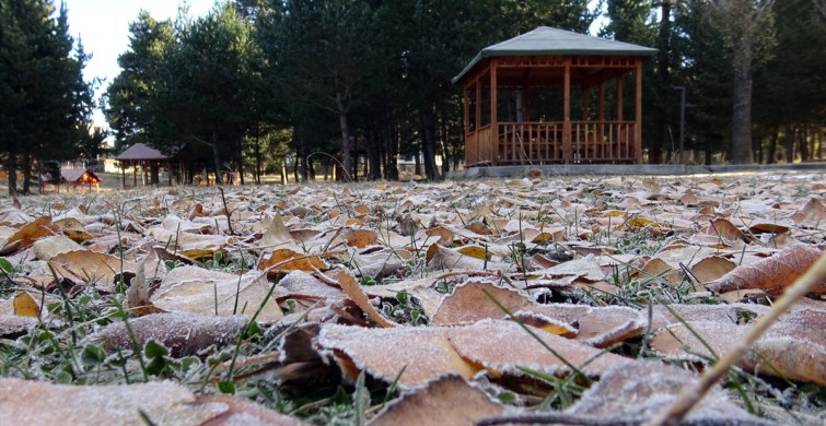 Kars'ta Soğuk Hava ve Kırağı Etkili Oluyor