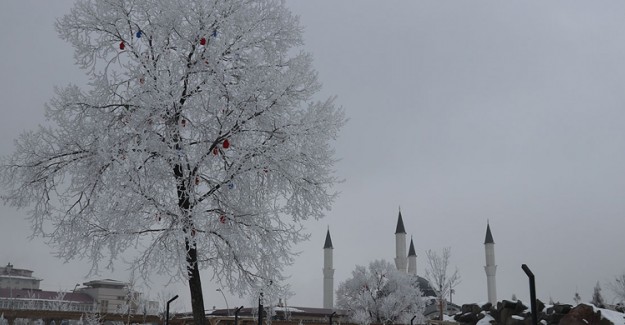 Kars'ta Dondurucu Soğuk Hayatı Ele Geçirdi