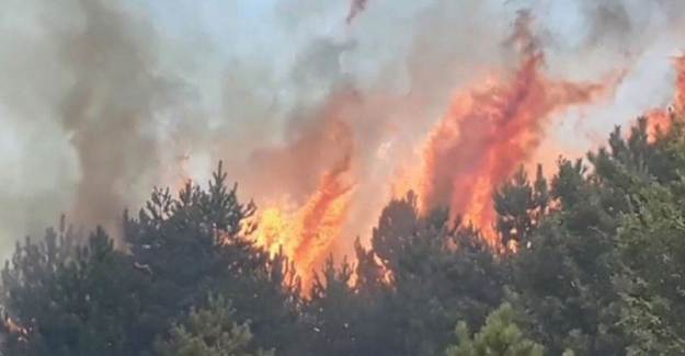 Kastamonu'da Orman Yangını