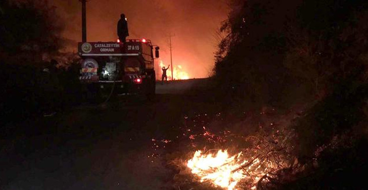 Kastamonu’daki Orman Yangını Bir Mahalleye Sıçradı