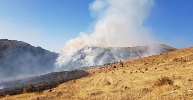 Kayseri'de Orman Yangını Çıktı