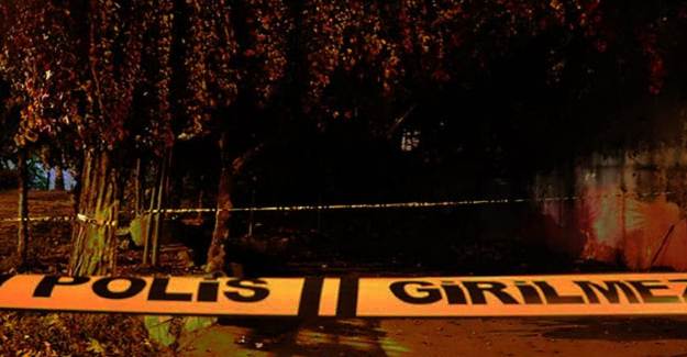 Kaza mı Komplo mu: Bartın'da Bir Kadın Gelinini Tilki Sanıp Öldürdü