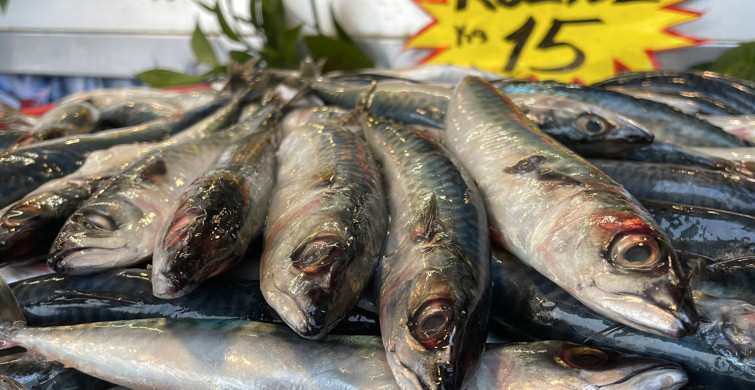 Alıcı da satıcı da mutlu! Kilosu 15 lira olan kolyoz balığı dikkatleri üzerine çekti!