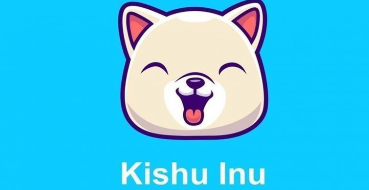 Kishi koin güvenilir mi? Yatırım yapılır mı? Geleceği var mı? Kishu Inu uzman yorumu