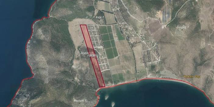 Kızılay, 120 bin metrekare zeytinlik tarla satıyor