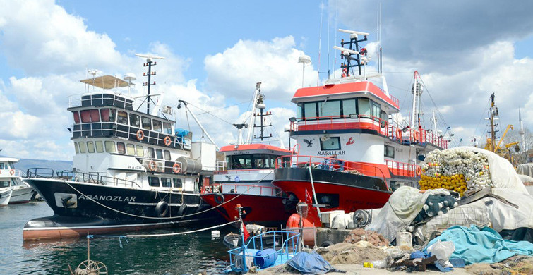 Kocaeli'de Balıkçılar 'Deniz Salyası' Sebebiyle Sezonu Kapattı