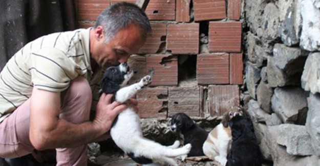 Köpeği Dereye Fırlatan İşçiye Hayvanlar Bakma Cezası