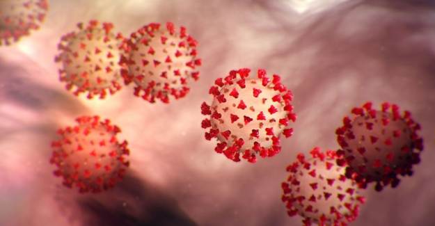 Koronavirüs Mutasyona Uğradı mı? Korkutan Sonuçlar