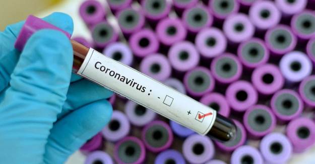 Koronavirüsün En Küçük Kurbanı
