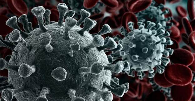 Koronavirüsün Mutasyona Uğradığı Tespit Edildi