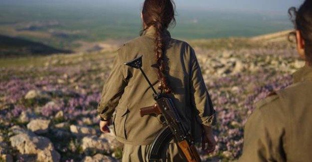 Köşeye Sıkışan PKK'ya O Ülke Kucak Açtı