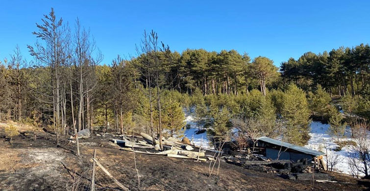 Köyde Yangın Çıktı: 60 Arı Kovanı Küle Döndü