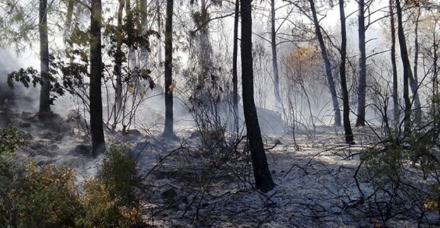 Kumluca'da Korkutan Orman Yangını