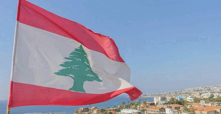 Lübnan'da Doktorlar İş Bıraktı!