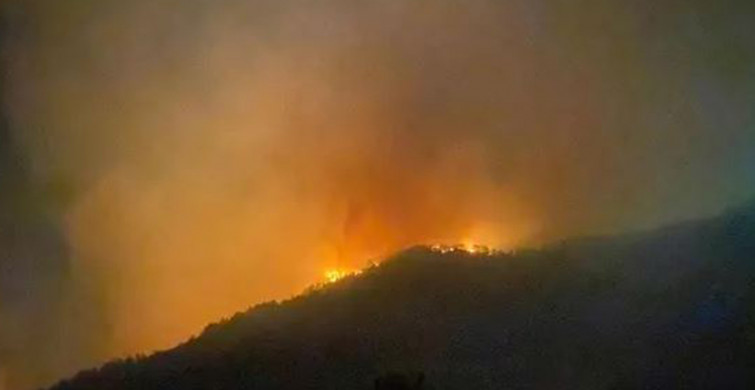 Manavgat’ın Ardından Gazipaşa’da da Orman Yangını Başladı