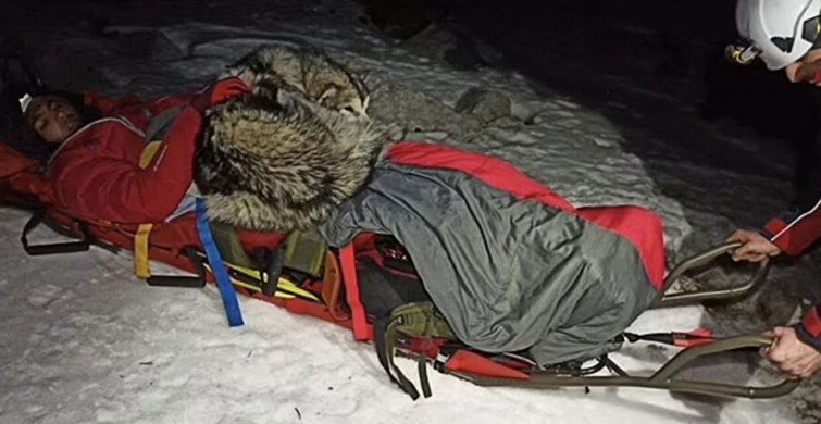 Mahsur Kaldığı Dağda Donmak Üzere Olan Adamı Köpeği Kurtardı