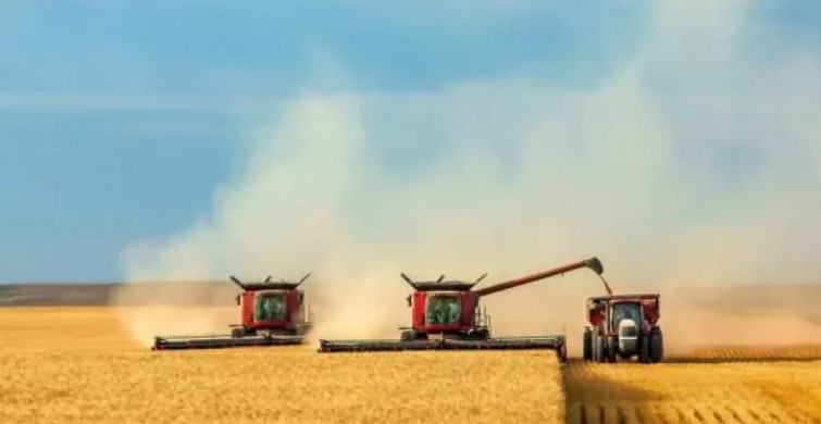 Malatya'dan sevindiren haber: Ekilen buğday yüksek verim verdi