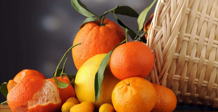 Mandalina ve portakal suyu gaz yapar mı? Hamilelikte mandalina ve portakal suyu içmenin etkileri