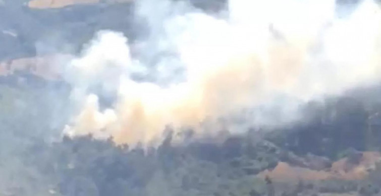 Manisa'da korkutan orman yangını! Ekipler seferber oldu!