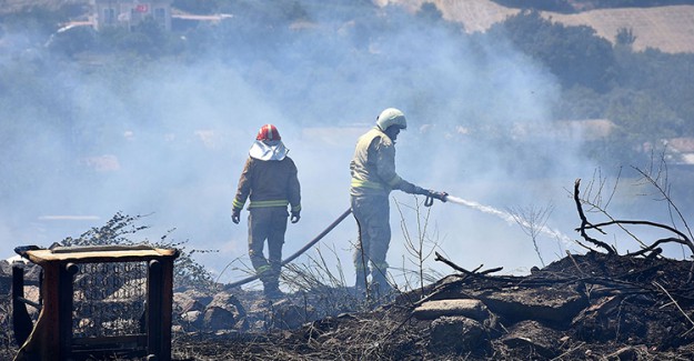 Manisa'daki Orman Yangınında Yaklaşık 300 Zeytin Ağacı Yandı