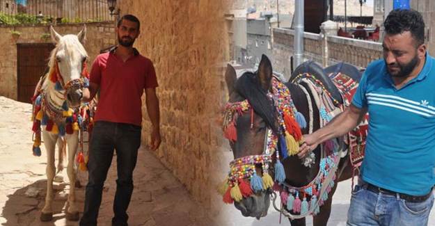 Mardin’de Turistlerin İlgi Odağı Süslü Atlar