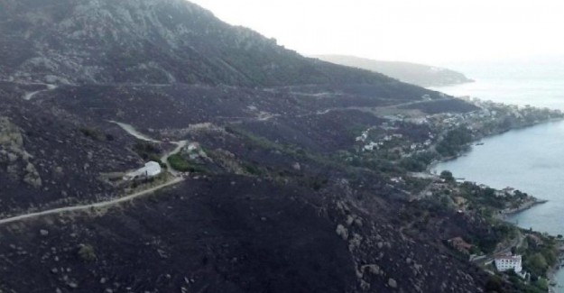 Marmara Adası’ndaki Yangına İlişkin Bir Şüpheli Gözaltında 