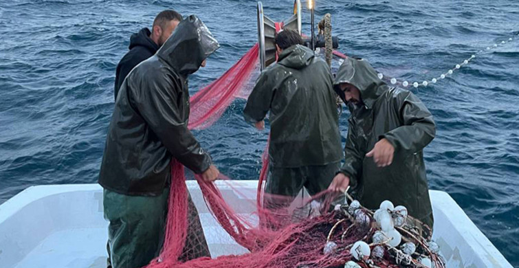 Marmara Bölgesindeki kuvvetli sağanak Balıkçılara yaradı: Kasalar tonlarca hamsiyle doldu taştı