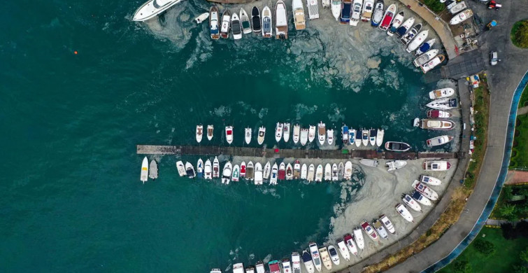 Marmara Denizi tehlikede! havalar ısınınca müsilaj yine ortaya çıkabilir