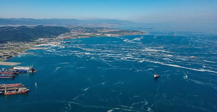 Marmara Denizi'nde Müsilaj Seferberliği: İki Günde Ne Kadar Deniz Salyası Temizlendi?