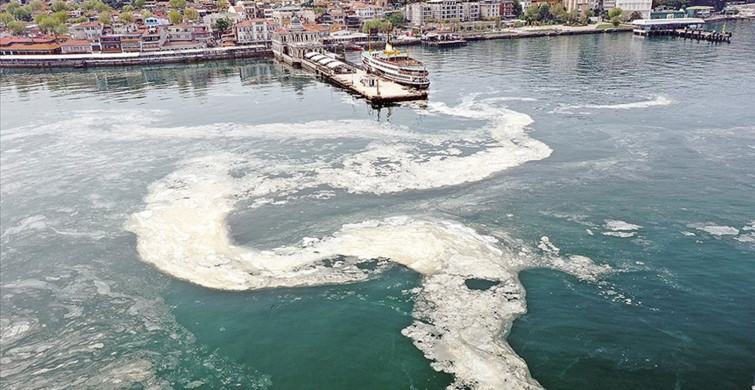 Uzmanlar Uyardı: Marmara Denizi'ndeki Müsilaj İçin Kasım Ayına Dikkat!