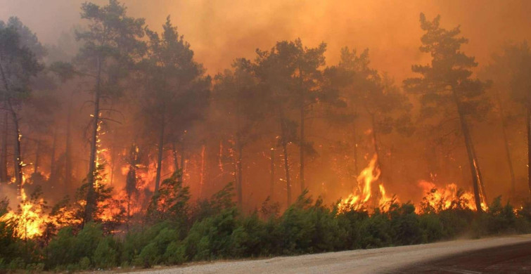 Marmaris Bördübet orman yangını söndü mü? Marmaris orman yangını nasıl ve neden çıktı?