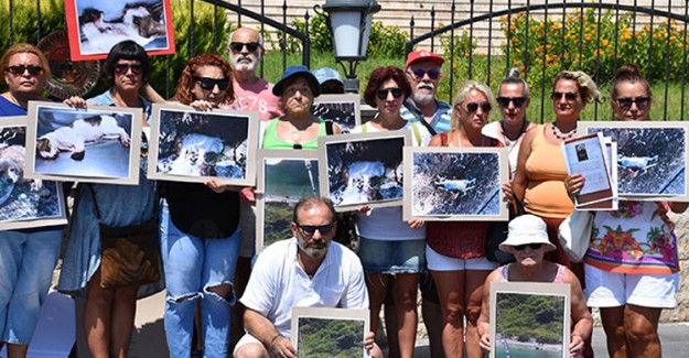 Marmaris'te Hayvanseverlerden 'Şiddete Son' Protestosu