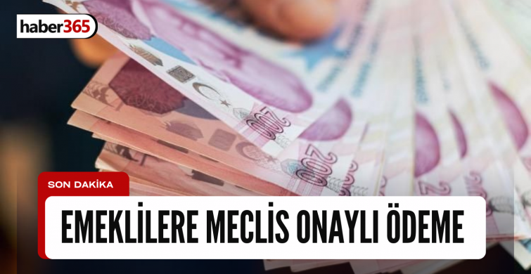 MECLİS ONAYINDAN GEÇTİ! Her ay tıkır tıkır aksatılmadan emeklilerin hesaplarına yatırılacak