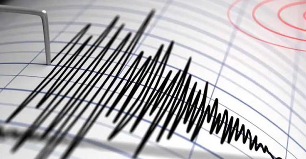 Meksika'da 6,6 Şiddetinde Deprem 