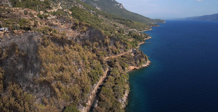 Menteşe'deki Orman Yangını Havadan İncelendi