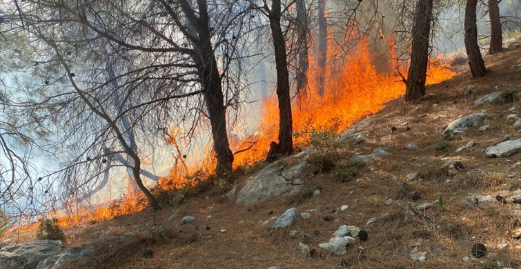 Mersin Silifke'deki Orman Yangını Kontrol Altına Alındı