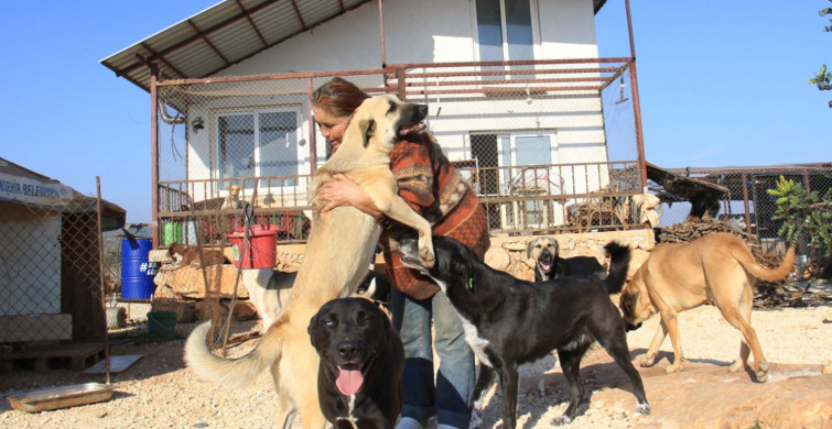 Mersin’de Kalabalık Aile Görenleri Şaşırtıyor: 80 Hayvanıyla Birlikte Yaşıyor